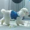 犬アパレルガールズペットスカート服の袖なしベスト子犬猫プリンセスドレスリーシュアウトドアウォーキングチュチュトゥチュの小さなチワワXS