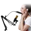 Mikrofoner BM 800 Uppgraderad BM 900 USB -mikrofon för PC Microfone Condensador USB Karaoke Microphone With Stand Stativ Pop Filter