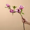 Decoratieve bloemen Lychee -leven simuleert magnolia diy handwerk huwelijksfeest Familie verzameling thuisdecoratie sfeer accessoires