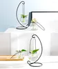 Vases 10cm Hanging Glass Flowers Plant Vase Pot Terrarium Container Flower Hydroponic Holder Metal Stand