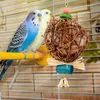 他の鳥の供給チュートイトイオウム噛む遊び遊びの鳥かごhangingベルチューインレッタンボール