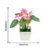 Dekorative Blumen künstlicher Anthurium Bonsai Topf Blumenpflanze gefälschte Home Office Gartendekoration