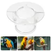 Dog Apparel Bird Anti- Bite Collar Recovery Handmade Necklaces Elizabethan Parrot Parrots Adjustable