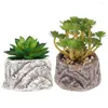 Fleurs décoratives plante succulente artificielle avec pot fausse jardin de décoration de bonsaï en pot en pot