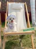 犬のアパレルインスタイルmiuプリンセスブルーグリッドブレーススカート犬キティショートストラップペットペットペットペット服ミディアム小さな猫