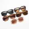 Occhiali da sole 2024 Fantasca della moda Square Simple's Protection Uv Protection Sun Glasses Femino