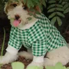 Vêtements pour chien pull en tricot d'hiver Vêtements de chat Yorkshire terrier poméranien shih tzu poodle bichon schnauzer vêtements