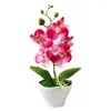 Dekorativa blommor 5 huvuden Artificial Butterfly Orchid Flower Bonsai Living Home Fake Plants Simulation Creative Room Decoration Potte X2U0