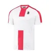 2024 Georgia Soccer Jersey Kvaratskhelia National Team Home Away Away 24-25 Chakvetadze Davitashvili Kvitaia Mikautadze Zivzivadze Football Shirt