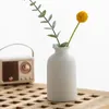Wazony mini inshing Nordic White Ceramic Wazon Dekoracja salonu ceramika domowa i porcelana na kwiaty figurka komputerowa