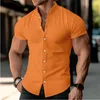 Camicie casual maschile a colori solidi stampato 3d hawaiaian shirt estate vacanza abbottonatura manica corta spiaggia di strada aloha clo