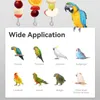 Andra fågelförsörjningar 5st papegoja fruktgrönsakspinnar hållare bur matare som foder leksak för parakeet budgie macaw finches