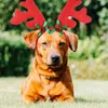 Hundekleidung 3 PCs Party Lieferungen Haustier Weihnachtsstirnband -Hirsche Antler Haarbänder Kopfschmuck Requisiten Outfits Kostüm Hoops