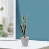 Dekoratif çiçekler yapay kaplan piranha sahte sansevieria diy çiçek aranjman malzemeleri bitkiler kapalı