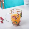 Verres à vin 1 morceau Creative Double Wall Glass tasse tasse avec une fleur de fleur sèche escargot de mer Glitter Glitter For Café Juice Milk Beau cadeau