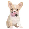 Hundkläder 2024 25st Flower Bowties Pearl Diamond Pet Bows For Bow Tie Collar Valentine's Day Spring Grooming Products