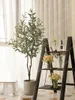 Decoratieve bloemen groen plantendecoratie olijfboom stille stijl woonkamer nepbomen vloer bonsai bloem