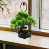 Decorative Flowers Artificial Potted Plant Cutainsforbedroom Desk Bonsai Tree Fake Decor Simulation Decorations Plastic