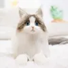 Simülasyon kedi bebek ragdoll meow çocuk kızlar doğum günü hediyesi peluş oyuncak bebek 240325