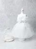 Vestido de noiva de cachorro de luxo branco tule bowknot teddy bichon animais de estimação cães roupas 240402