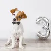 Köpek Giyim 1 Pet Kostüm Şapkası Cat Tavma Doğum Günü Partisi Dekor Cadılar Bayramı Tedarik