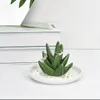 Crochets Ceramic Cactus Bijoux Organisateur Organisateur Bile Blancs Decoratives Boucles d'oreilles Porte-traits Display Rack Birthday Wedding Gift