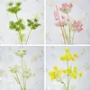 Fleurs décoratives Plastique Fleur de dentelle artificielle colorée Flexible Flexible Bouquet à la main 3 têtes Salon non passant