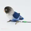 他の鳥の供給パロットハーネスリーシュが小さなオウムトレーニングのために20フィートのロープを飛行する