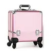 Opbergdozen Grote professionele trolley make-updoos draagbare nagelwaarde Special Toolbox Beauty Tattoo Tool Multi-Layer koffer