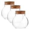 Vases 3pcs Pustres de bouteille en verre de liège en liège petites plans de jardinière à table à table