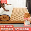 Carpets Lamb Velvet Mattress Pad Home épaississant d'hiver automne au printemps Dormitory Single Double Tatami Mat Sponge