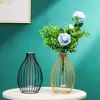 Vases Nordic Styles Home Decoration Desktop Ornament Geometric Line Frame Iron Art Vase Glass Test Tube Hydroponic Flower