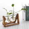 Vazen hydrocultuur planten vaas transparant glas creatief houten frametafel boekenplank woonkamer dedroom kantoor diy decoratio