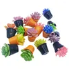 Kwiaty dekoracyjne 16 szt. Sukulenty miniaturowe domy roślinne dekoracja doniczkowa sztuczna bonsai modelu żywica mikro akcesoria