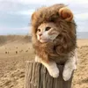 Cat Costumes Lion Mane Wej Pet Hat Fancy Hair Ubrania sukienka Zabawne czapki cosplay