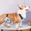 Hondenkleding voor Korji buikbescherming kleding waterdichte warme huisdier slabbetje zomerzak 240328