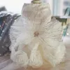 Luxury Wedding Dress for Dogs Princess Big Bowknot Flowery Puppy Dog Teddy Costume Festival 240402