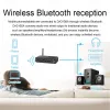 Adaptateur New Bluetooth 5.3 Émetteur de récepteur audio Microphone USB Drive Flash Carte sonore analogique Convertisseur DAC310B Version standard