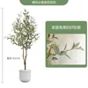 Decoratieve bloemen groen plantendecoratie olijfboom stille stijl woonkamer nepbomen vloer bonsai bloem