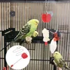 Andra fågelförsörjningar papegoja rostfritt stål fruktgaffel leksak som foder daglig användning bur spett