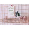 Liquid Soap Dispenser Rose Gold Grid Wall Basket Wire Shelf For Panel Easy Hanging Tray Cute Things On Your Storage Display
