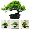 Decorative Flowers Artificial Potted Plant Cutainsforbedroom Desk Bonsai Tree Fake Decor Simulation Decorations Plastic