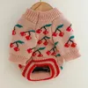 Hundkläder Cherry Print Sweater Coat Winter Pet Clothes For Small Medium Dogs Pullover Puppy Knit Jumper Sweatshirt Jacket Chiwawa