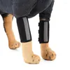 Appareils pour chien 2x Pet Gnee Elbow Protector Sleeve Pad Joine Joince pour le bandage Couvre de protection des blessures réglables du bandage