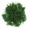 Dekorativa blommor Aftificiella gröna mossa falska växter terrarium bevarade bonsai kruka trädgårdsskötsel