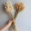 Decorative Flowers Tail Grass Hay Dried Flower Bouquet Wholesale Dog Valentine's Day Gift