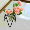 Vases 6 Pcs Iron Flower Stand Glass Hydroponic Vase Transparent Rack Decor Air Small Wrought Office
