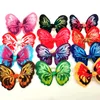 Hundkläder 50/100/200 st. Hårtillbehör Butterfly Design Pet Bows Rubber Bands Grooming Products Fashion Supplies