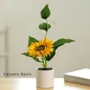 Flores decorativas girasol pequeño bonsai simulación falsa flor planta artificial macizo cerámica cuenca familiar sala de estar decoración de la oficina