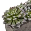 Декоративные цветы сад искусственное растение с текстурированным бетонным салоном зеленый